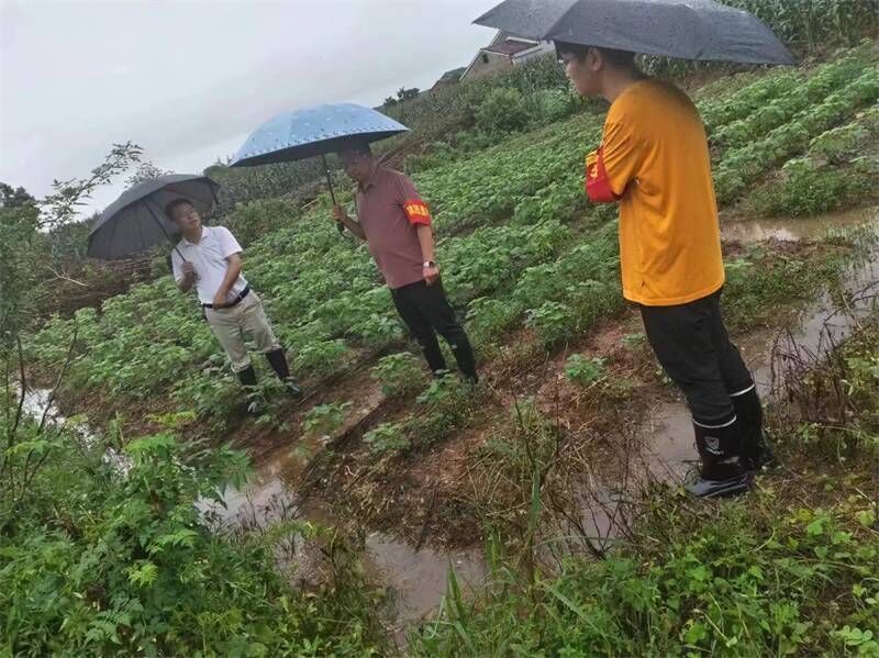 風(fēng)雨之中有“橋”相伴——助力防汛救災(zāi)，岳陽縣僑界在行動