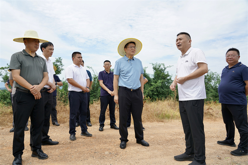 肖湘暉調(diào)度岳州電廠項(xiàng)目建設(shè)