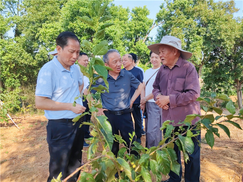 市老科協(xié)到岳陽縣調(diào)研