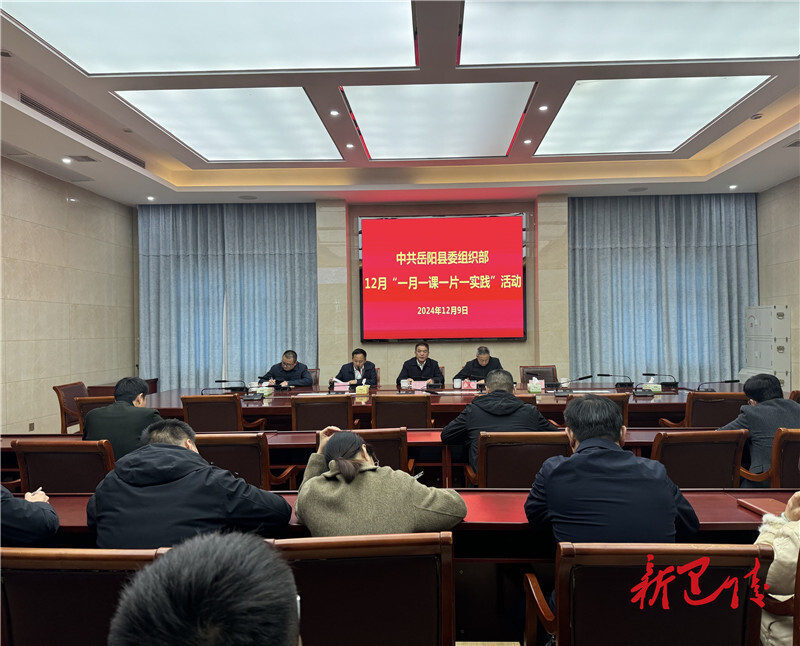 岳阳县委组织部传达学习县委十三届七次全体（扩大）会议精神