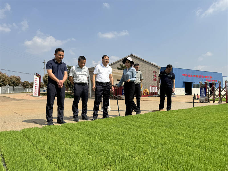 岳陽縣人大常委會調(diào)研全縣供銷綜合改革工作情況