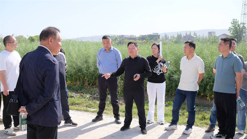 岳阳县人大常委会开展《中华人民共和国城乡规划法》执法检查工作
