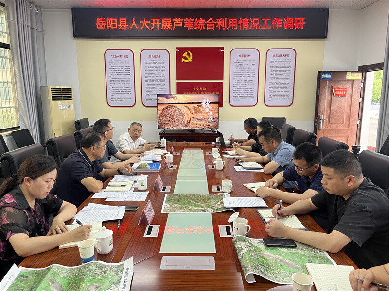 县人大常委会开展芦苇综合利用情况工作调研