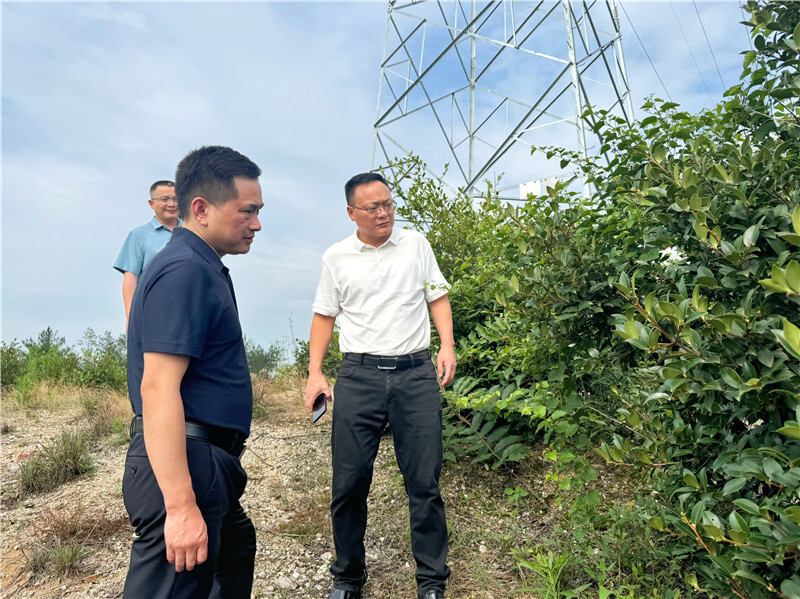 方克君到筻口镇调研村集体经济发展情况