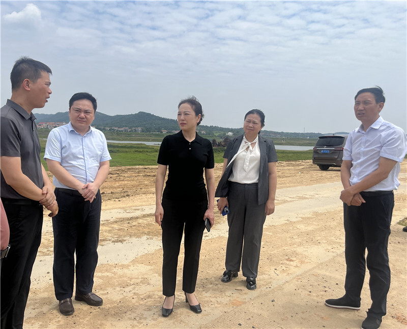 市政协副主席高鸽子来岳阳县开展改善生态环境专项民主监督活动