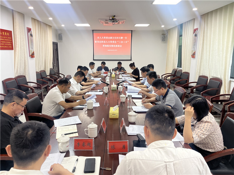 市人大常委会副主任田文静督导岳阳县“三会三文”精神贯彻落实情况