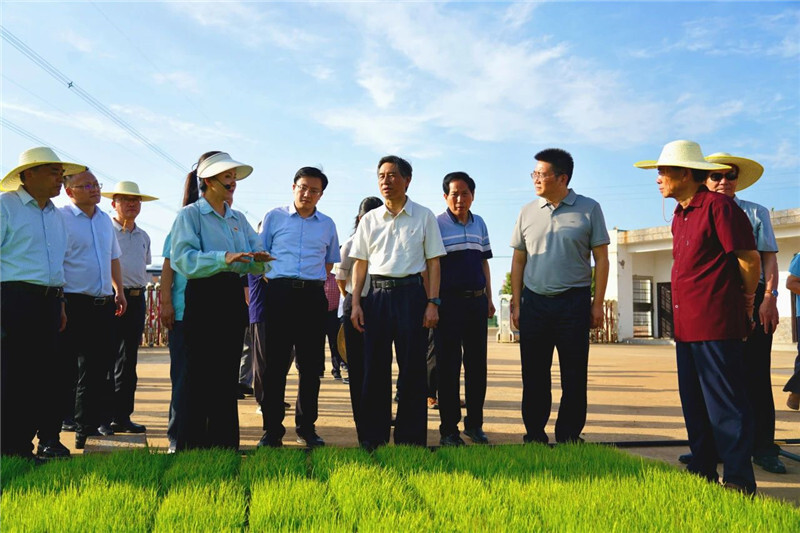 省老科協(xié)來岳陽縣調(diào)研“雙助力”工作