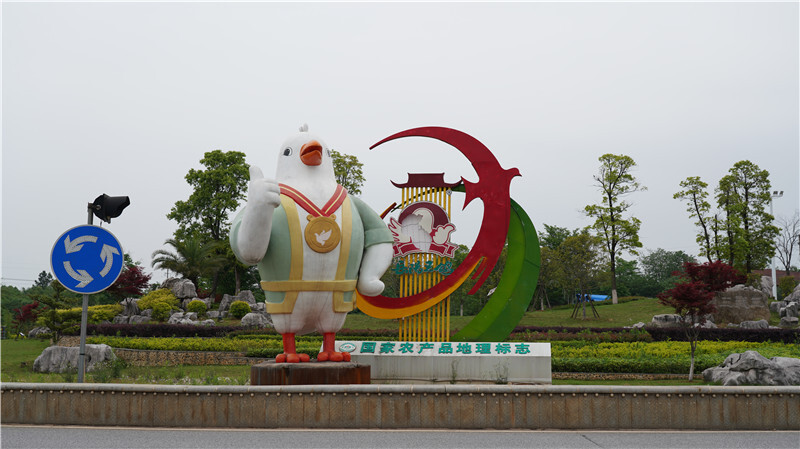 工业思维撬动“一县一特” 岳阳王鸽“飞”出富民强县新路径