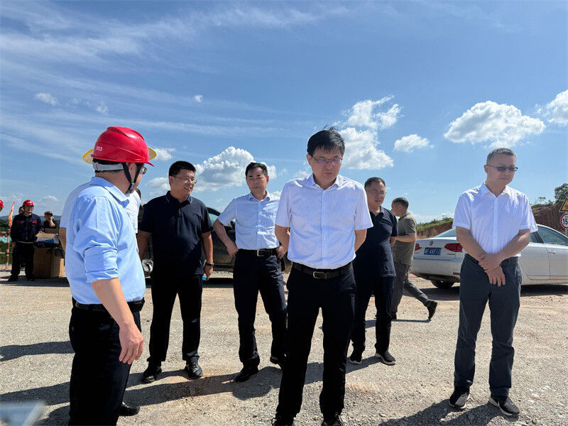 田文静来岳阳县督导岳州电厂项目建设