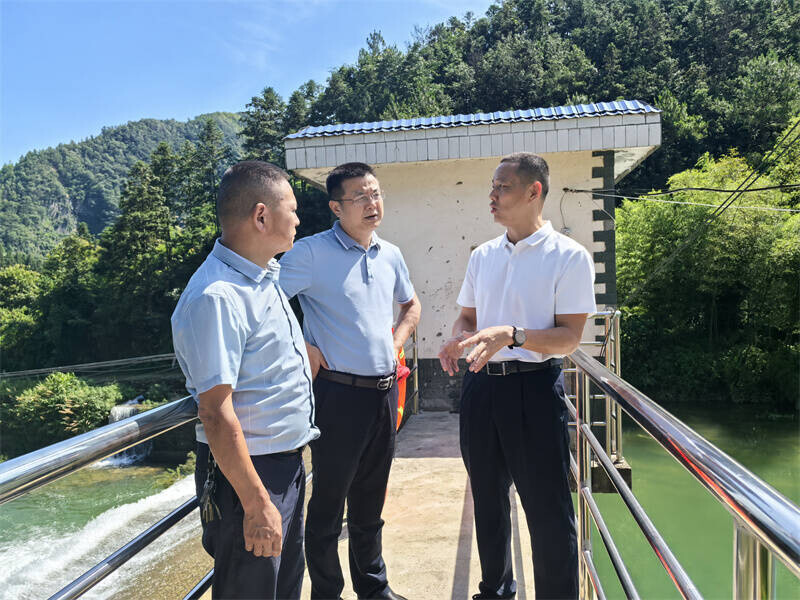 张哲君到张谷英镇巡林巡河巡田并督导防汛备汛工作