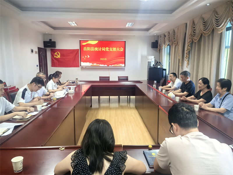 岳陽縣統(tǒng)計局舉辦“七一”慶祝大會