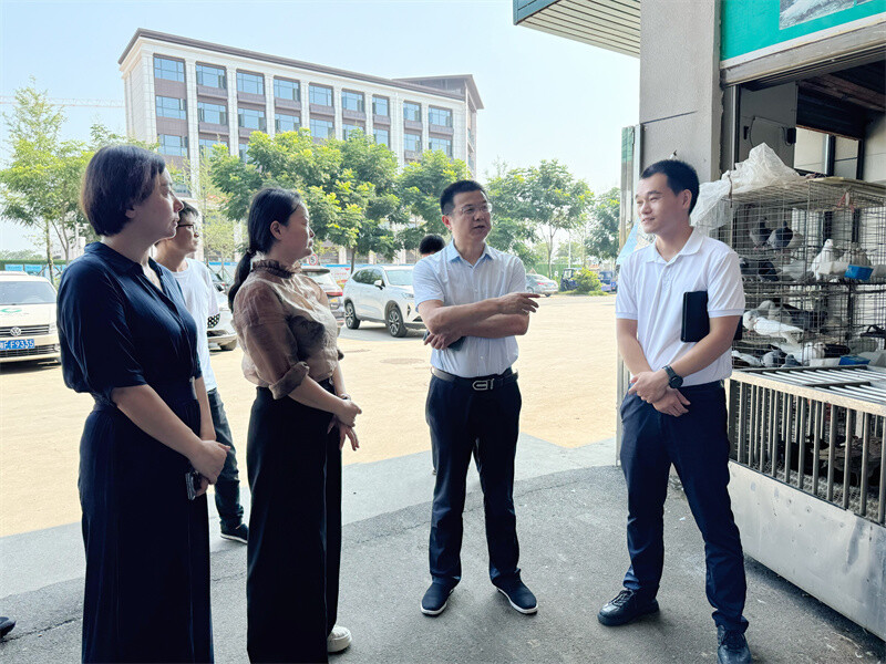 張哲君督導(dǎo)文明城市建設(shè)工作