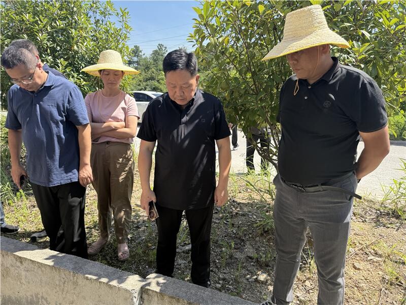 岳陽(yáng)縣人大常委會(huì)開展中央、省級(jí)環(huán)保督察問(wèn)題整改情況監(jiān)督檢查
