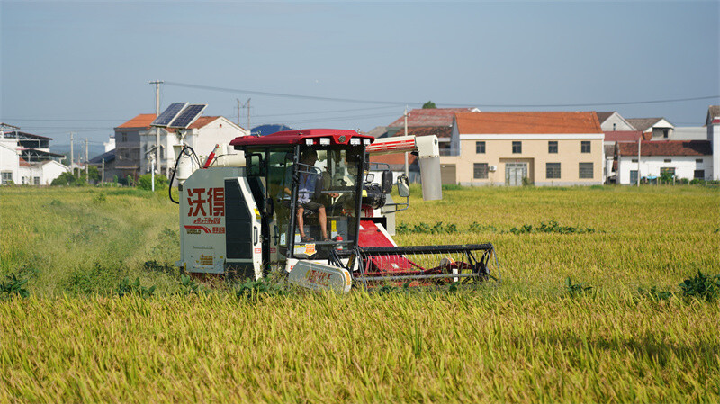 鄉(xiāng)音“大喇叭”硬核喊話 筻口鎮(zhèn)秸稈禁燒“疏堵結(jié)合”守藍天