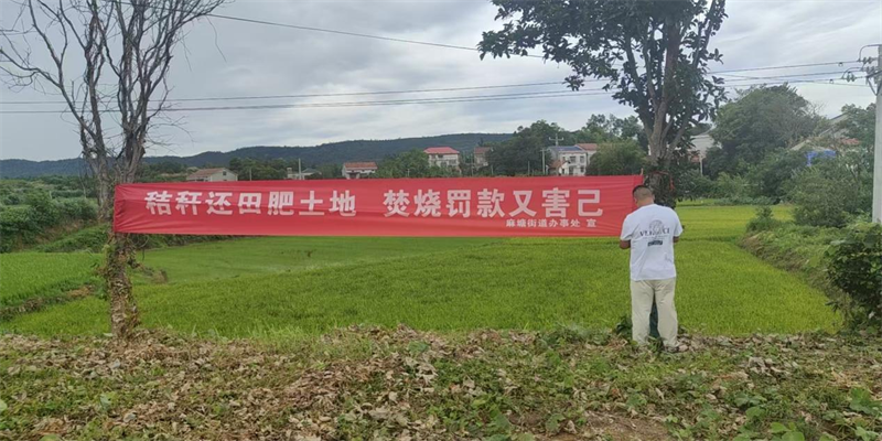 麻塘街道：“三措并舉”織密秸稈禁燒防護網(wǎng)