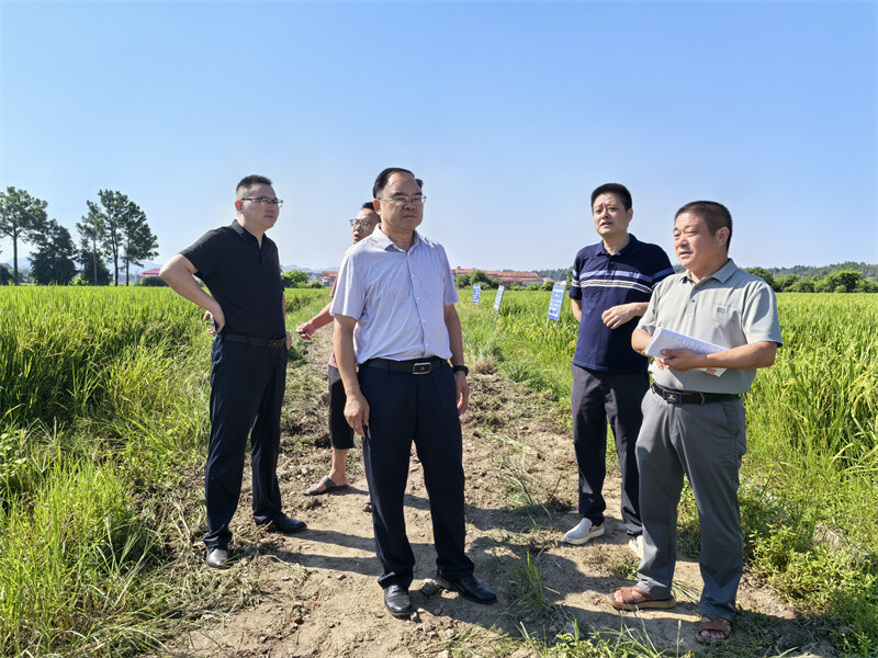 任三星率隊(duì)調(diào)研我縣《中華人民共和國種子法》貫徹實(shí)施情況