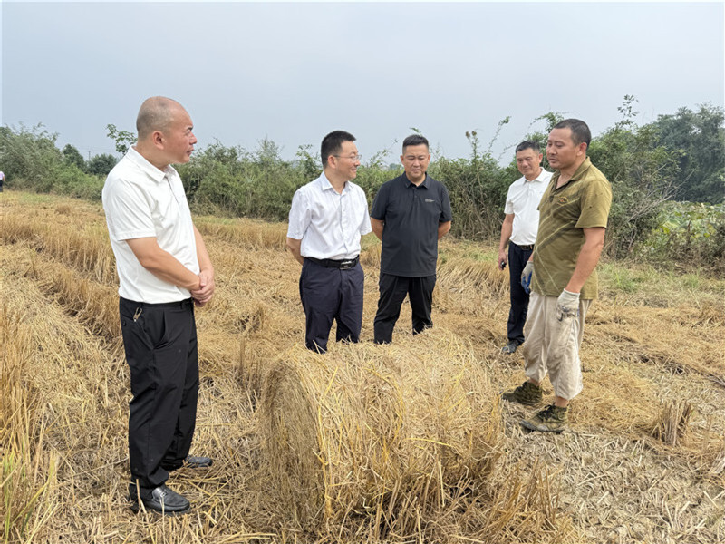 周峰督导长湖乡秸秆综合利用与精准焚烧管控工作 筑牢秋季防火安全屏障