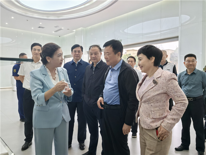 陈飞率队来岳阳县开展安全生产“三法一条例两办法”执法检查