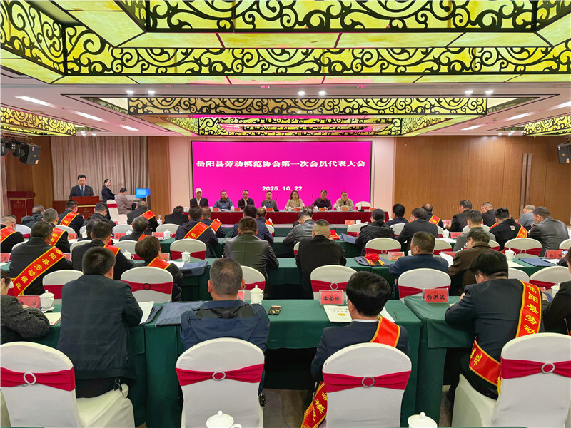 岳阳县劳动模范协会第一次会员代表大会暨劳动模范座谈会召开