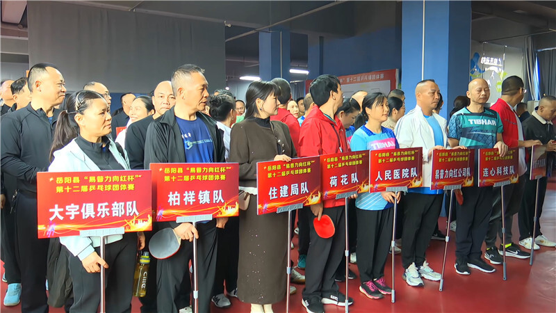 岳阳县举行“易普力向红杯”第十二届乒乓球团体赛