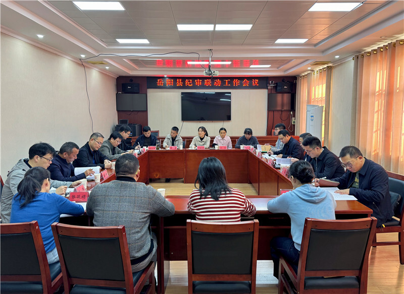 岳阳县召开纪审联动工作会议