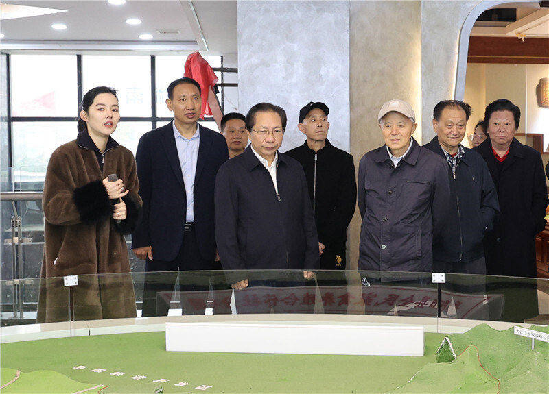 市政协组织退休老同志来岳阳县考察