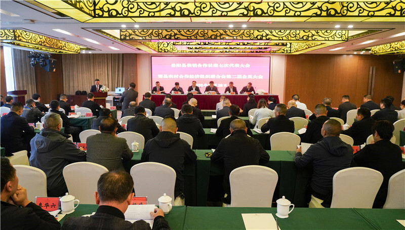 岳阳县供销合作社圆满完成换届选举