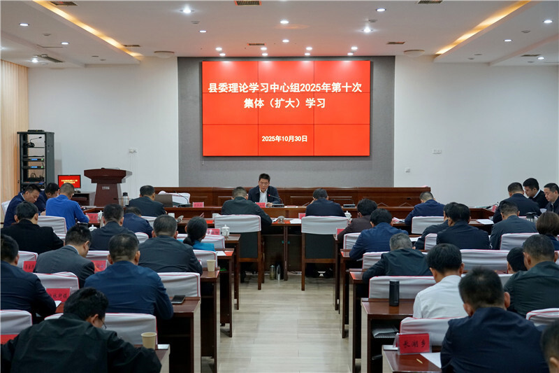 岳阳县委理论学习中心组举行2025年第十次集体（扩大）学习