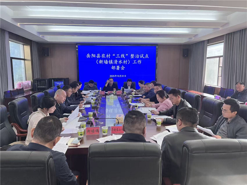 岳阳县召开农村“三线”整治试点工作部署会
