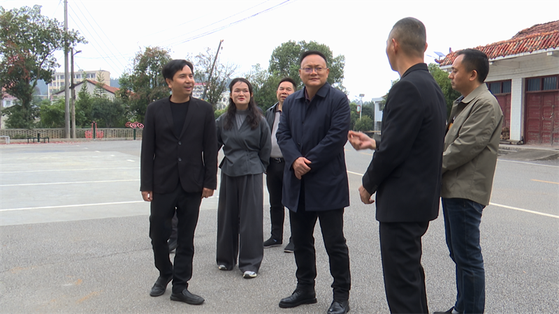 方克君到张谷英镇调研基层治理和乡村振兴等工作