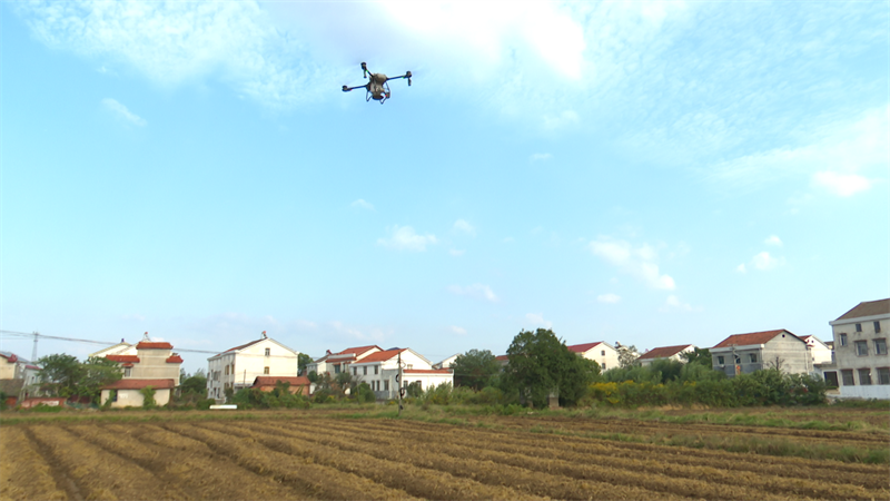 多措并举治酸 筑牢粮安根基——岳阳县 8.04 万亩酸化耕地实现质量与产量双提升