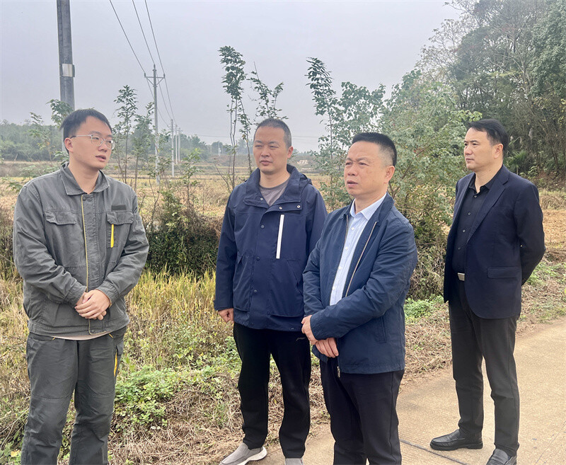 王卫兵督办民生实事、重点代表建议办理情况