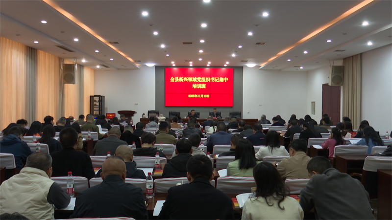 岳阳县新兴领域党组织书记集中培训班开班