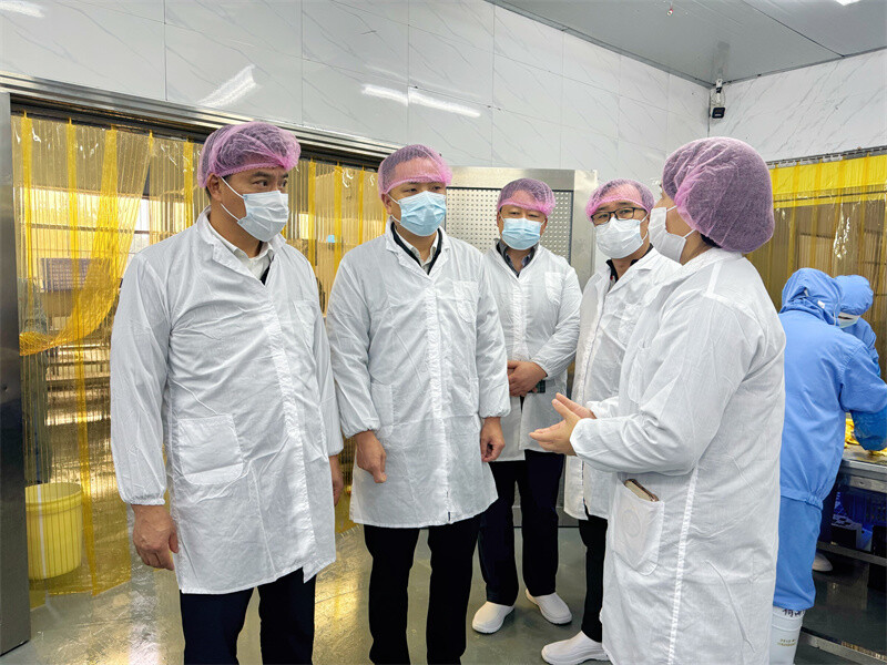 韩国客商来岳阳县考察 共探经贸合作新机遇