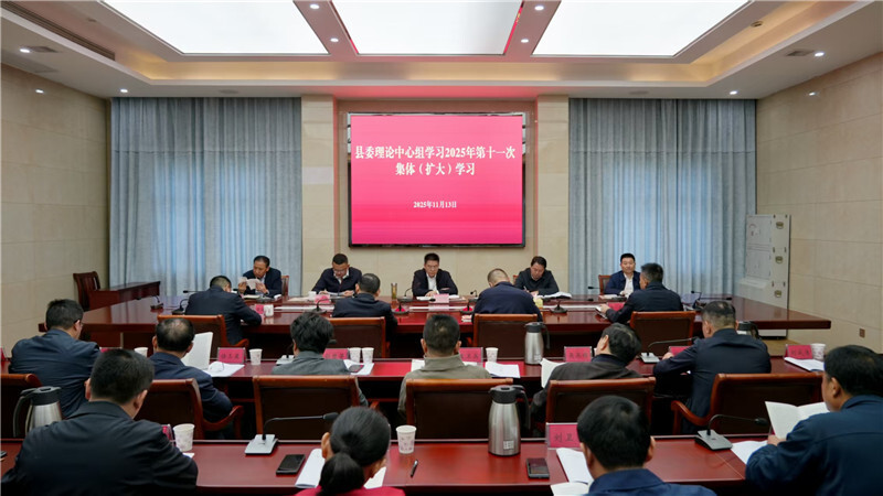 岳阳县委理论学习中心组举行2025年第十一次集体（扩大）学习