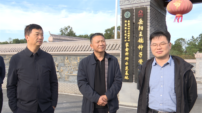 清远市考察团来岳阳县学习考察肉鸽产业发展情况