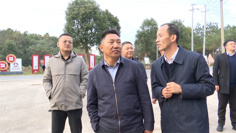 岳桑携手话发展 产业协作促振兴——桑日县党政代表团来岳阳县考察王鸽产业