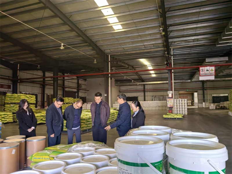 深圳外贸专业团队来岳阳县“把脉开方”  助力本土企业破局出海