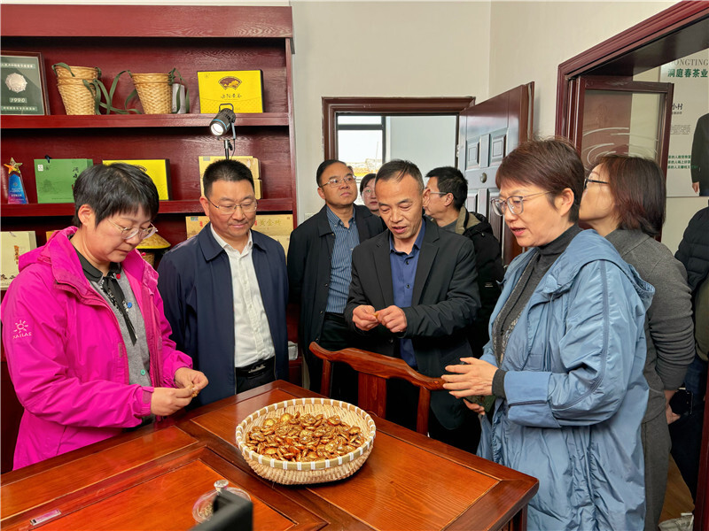 德清县人大常委会来岳阳县考察学习