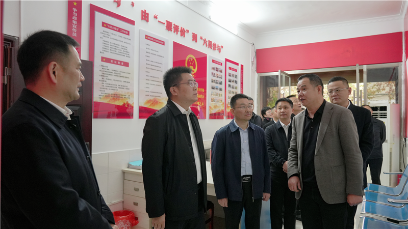 肖湘晖督办代表建议、参加代表小组活动