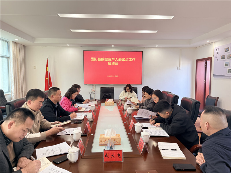 岳阳县召开数据资产入表试点工作启动会