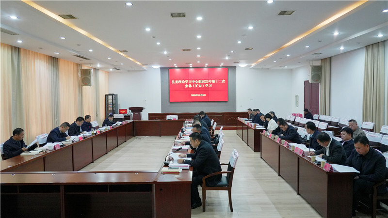 岳阳县委理论学习中心组举行2025年第十二次集体（扩大）学习