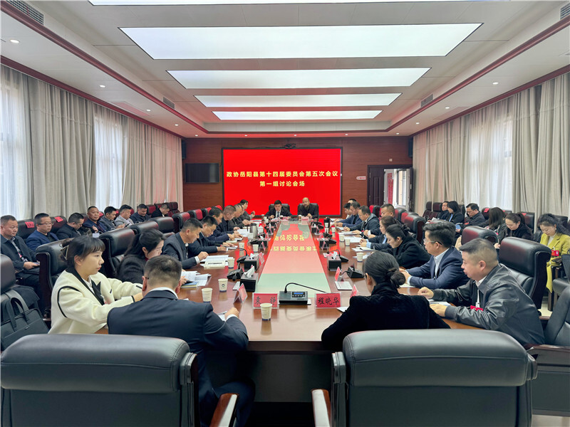 齐献良策 共谱新篇 政协委员开展分组讨论