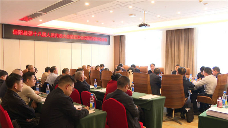 聚焦两会 | 吴光文参加县第十八届人大五次会议第五代表团分团讨论