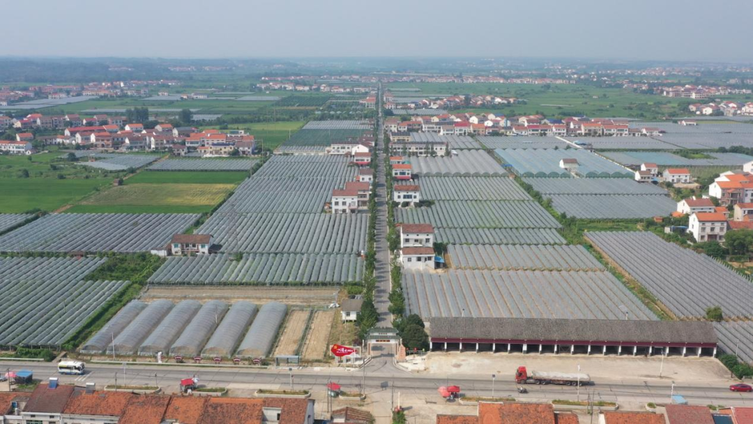 潮涌巴陵 非凡“十四五”③｜城乡融合的“双向奔赴”里 藏着宜居宜业最暖的模样