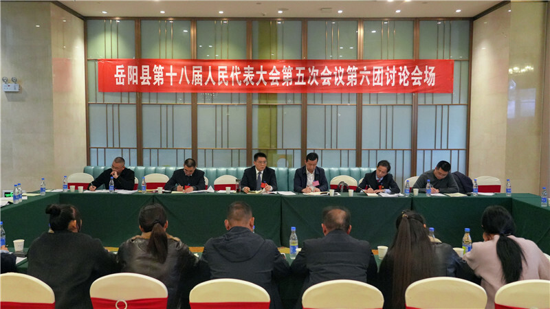 聚焦两会 | 肖湘晖参加县第十八届人大五次会议第六代表团分团讨论