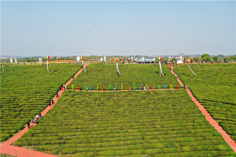 潮涌巴陵 非凡“十四五”⑤｜岳阳县：以改革之力激活县域高质量发展新引擎