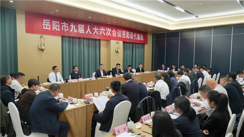 侯文参加市九届人大六次会议岳阳县代表团分团讨论