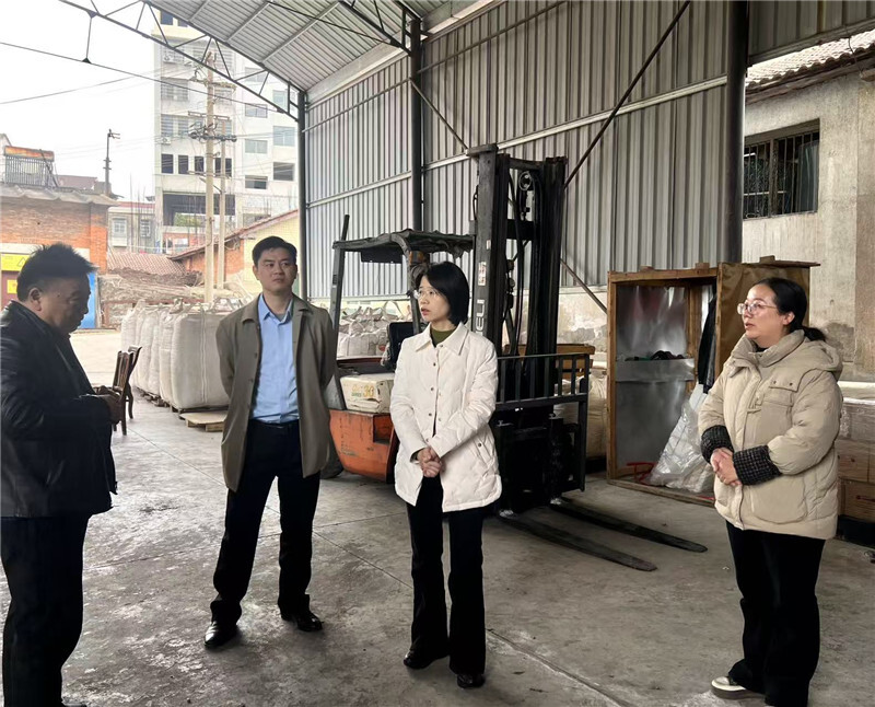 李樱开展节前安全生产检查 筑牢安全防线