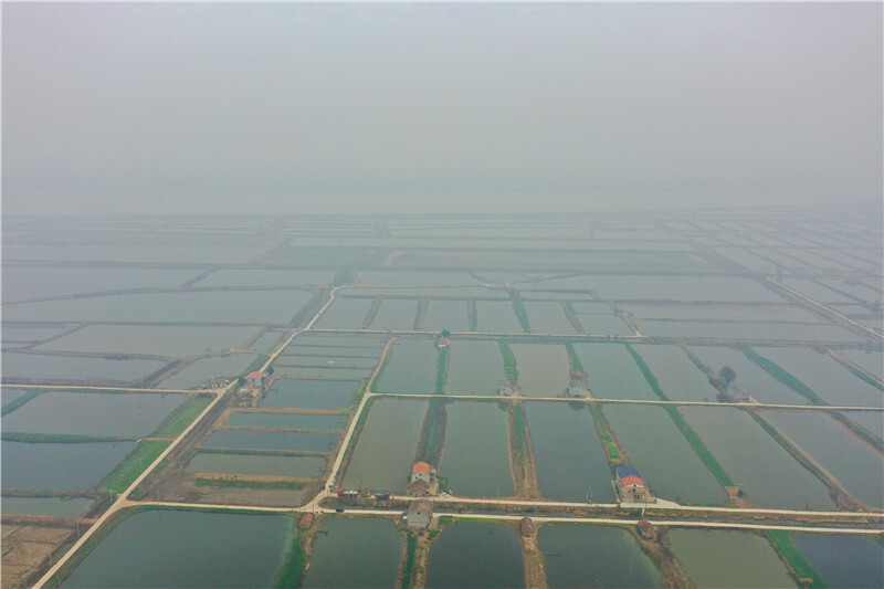 洞庭湖畔冬捕忙 水美人欢鱼满仓